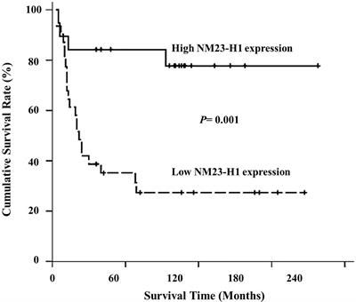 NM23-H1 Expression of Head and Neck Squamous Cell Carcinoma in Association With the Response to Irradiation